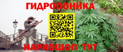 бошки Дубна